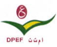 Direction des Projets Education – Formation (DPEF)
